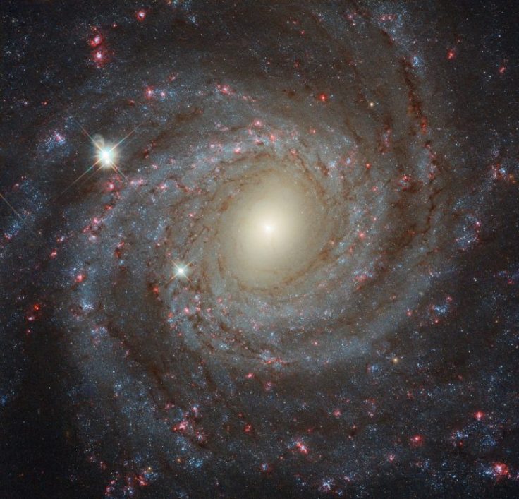 New-Hubble-Image-of-Galaxy-NGC-3344-777x746